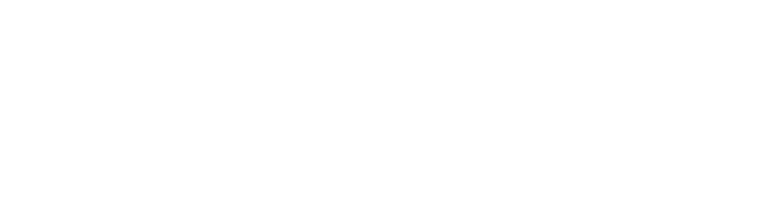 Logo-Bootsgutachter-schweiz-weis